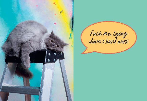 Sweary Cats