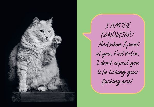 Sweary Cats