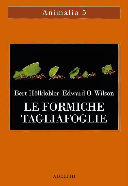 Le formiche tagliafoglie. La conquista della civiltà attraver...