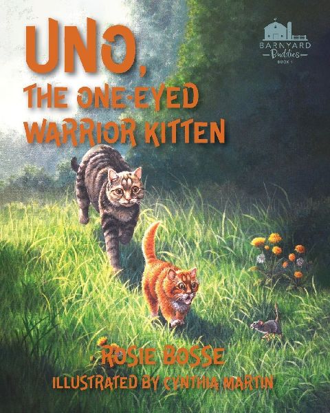 Uno the One-Eyed Warrior Kitten