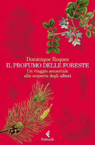 Il profumo delle foreste. Un viaggio sensoriale alla scoperta ...