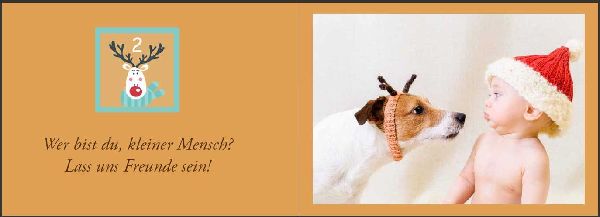 Baby Adventskalender - Ein zauberhaft fotografierter Bilderbuch-Adventskalender für Schwangere, Mamas und Papas