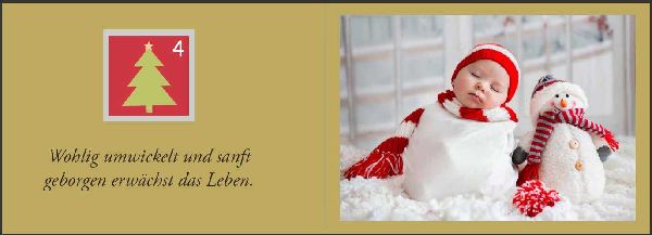 Baby Adventskalender - Ein zauberhaft fotografierter Bilderbuch-Adventskalender für Schwangere, Mamas und Papas