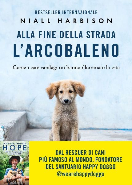 Alla fine della strada l'arcobaleno. Come i cani randagi ...
