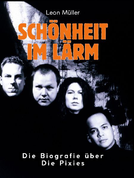 Schönheit im Lärm