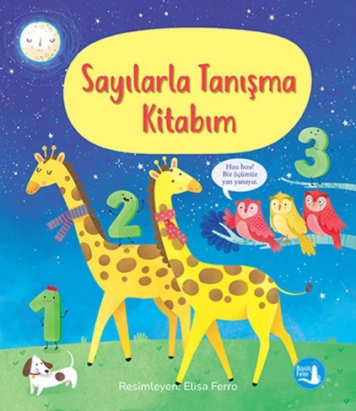 Sayilarla Tanisma Kitabim