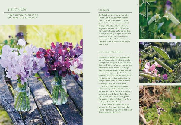 Blütenreich - Schnittblumen mit Herz und Hand vermehren