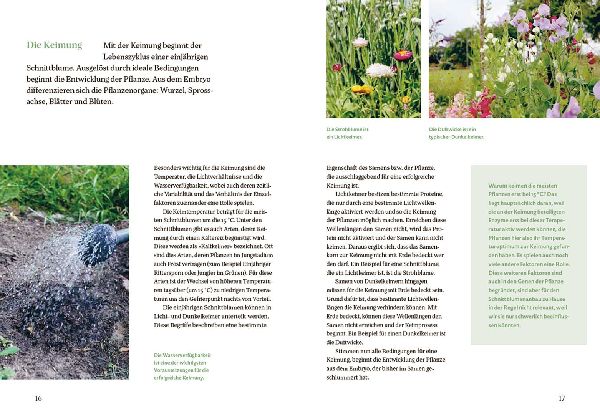 Blütenreich - Schnittblumen mit Herz und Hand vermehren