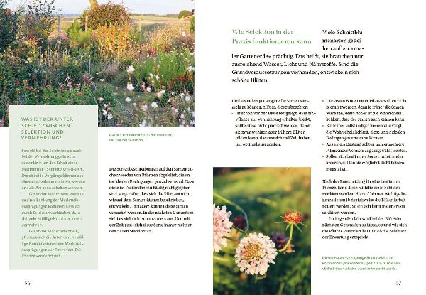 Blütenreich - Schnittblumen mit Herz und Hand vermehren