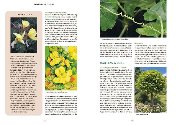 Gartenbotanik