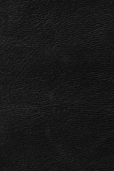 The Golden Scripts Part II of II