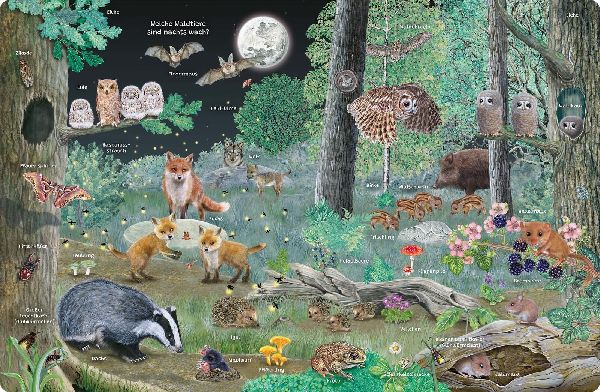 Mein Lupen-Wimmelbuch: Wald und Wiese