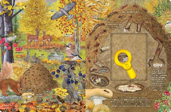 Mein Lupen-Wimmelbuch: Wald und Wiese