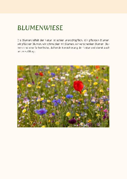 Gedächtnistraining für Senioren | Gehirnjogging für Naturliebhaber