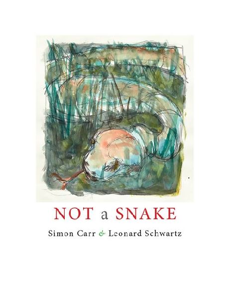 Not a Snake