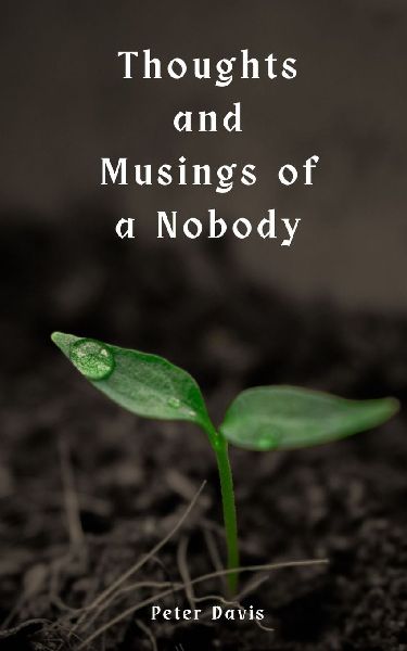 Thoughts and Musings of a Nobody