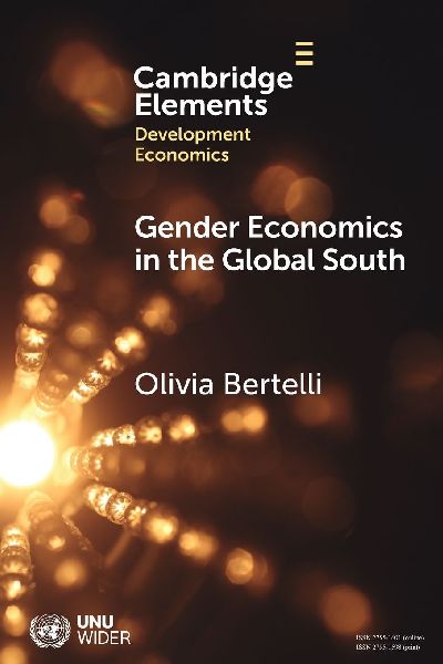 Gender Economics in the Global South