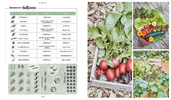Garten, Hochbeet, Ernte-Wunder - Drei Bücher im Bundle