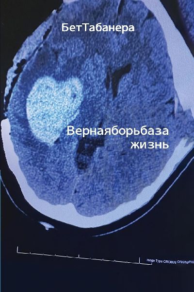 Ве р н а &am...