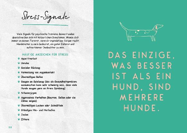 Mein super Hund und ich