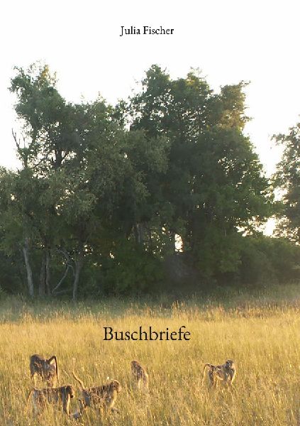 Buschbriefe