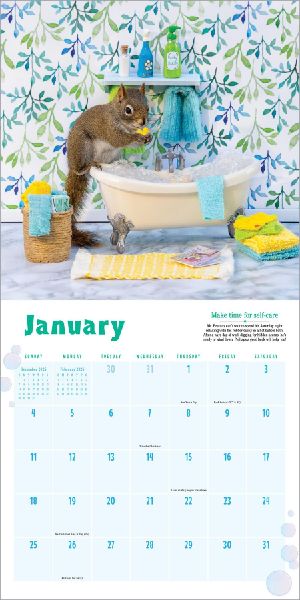 Secret Life of Squirrels Wall Calendar 2026