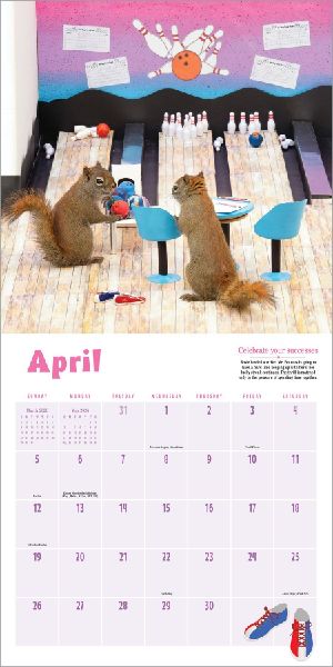 Secret Life of Squirrels Wall Calendar 2026