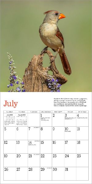 Audubon Cardinals Mini Wall Calendar 2026