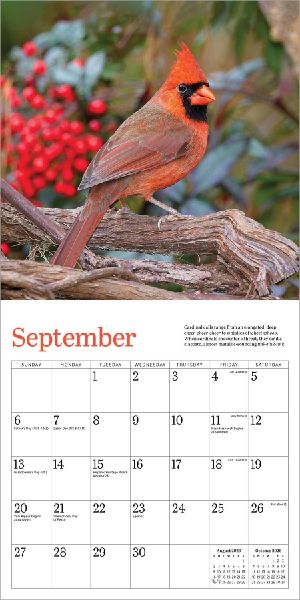 Audubon Cardinals Mini Wall Calendar 2026
