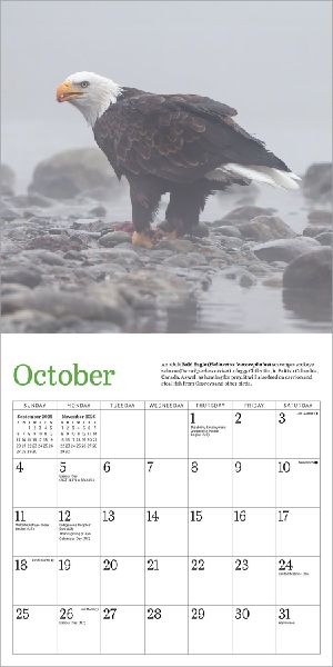 Audubon Eagles Mini Wall Calendar 2026