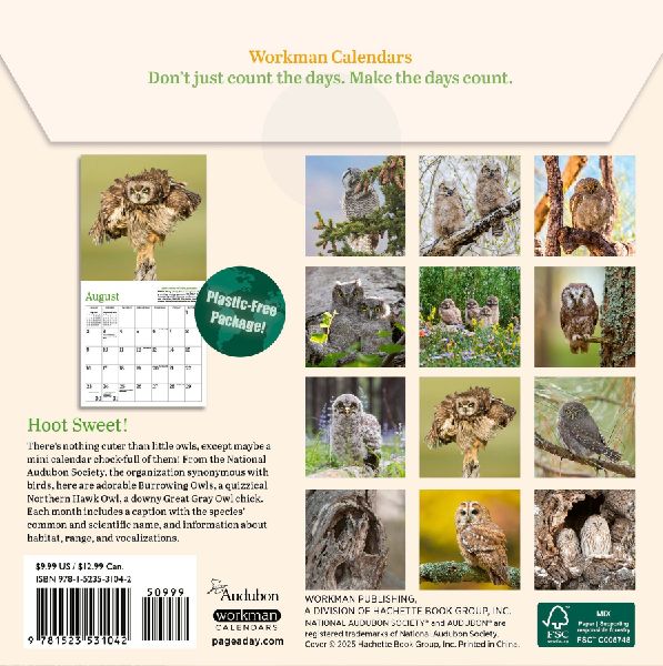 Audubon Little Owls Mini Wall Calendar 2026