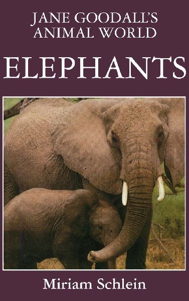 Jane Goodall's Animal World Elephants