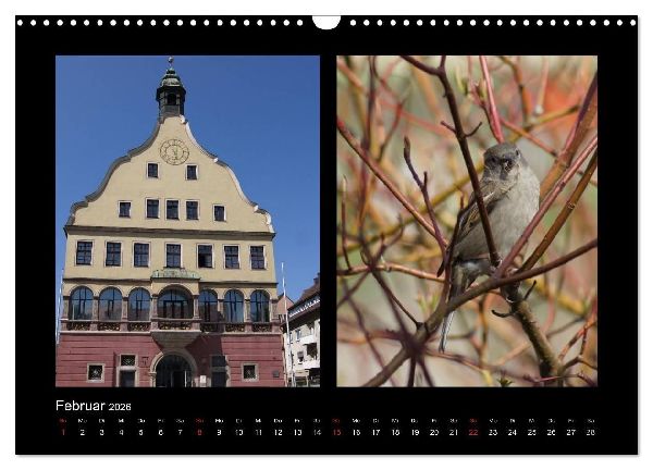 Ulmer Spatzen (Wandkalender 2026 DIN A3 quer), CALVENDO Monatskalender