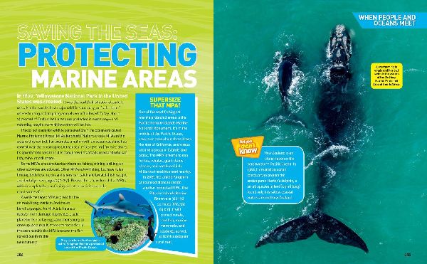 ULTIMATE OCEAN_NATIONAL IE HB