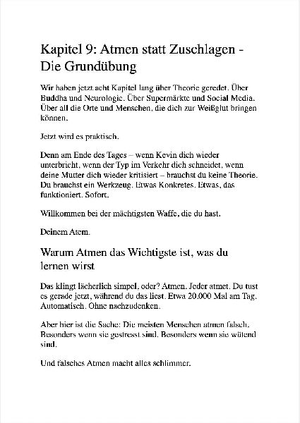 ZEN UND DIE KUNST, DEN LEUTEN NICHT AUF DIE SCHNAUZE ZU HAUEN