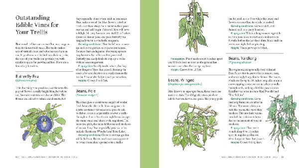 Wildcrafted Garden Structures