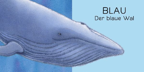 Der Regenbogenfisch Farben