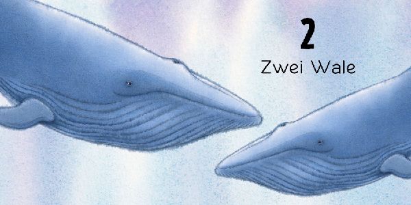 Der Regenbogenfisch Zahlen