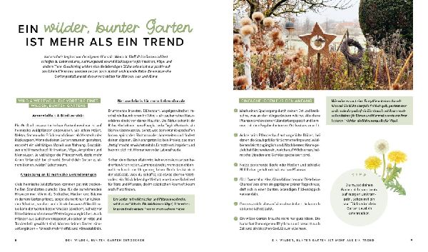 Mein wilder, bunter Garten - Einfach naturnah gärtnern