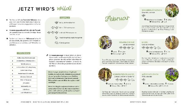 Mein wilder, bunter Garten - Einfach naturnah gärtnern