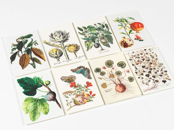 Natural History