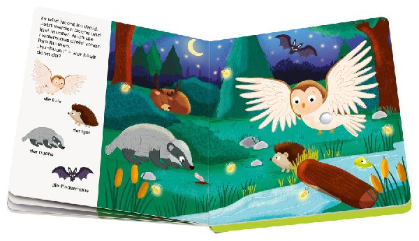 Play+ Mein allererstes Soundbuch Tiere im Wald - ab 12 Monate