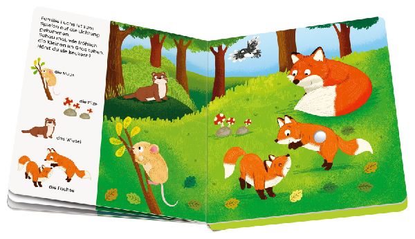 Play+ Mein allererstes Soundbuch Tiere im Wald - ab 12 Monate