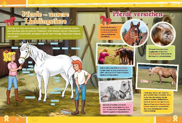 Bibi & Tina: Das große Jubiläumsbuch