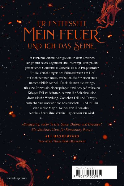 A Fire in the Sky - Feuerschwur-Chroniken, Band 1