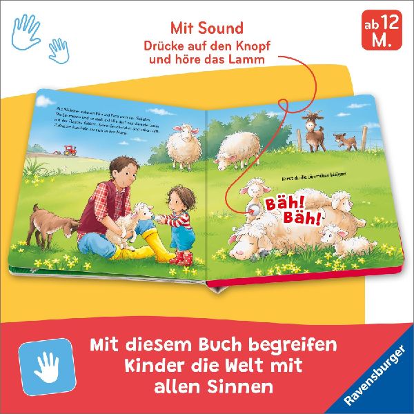 Hör mal hin - Wer kräht hier? Auf dem Bauernhof