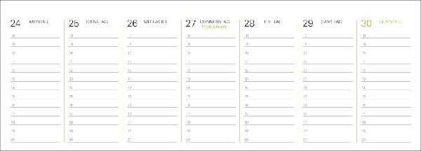 Stephen Hawking Universum Premium-Tischplaner 2027 - Wochenkalender mit 53 Bildern und Zitaten
