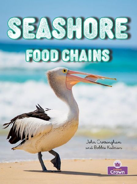 Seashore Food Chains