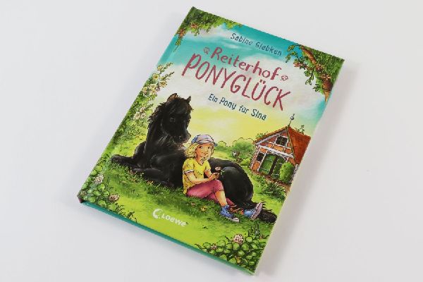 Reiterhof Ponyglück (Band 1) - Ein Pony für Sina