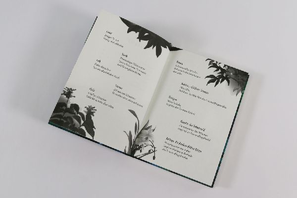 Wild Stork (Band 1) - Beschützer des Waldes